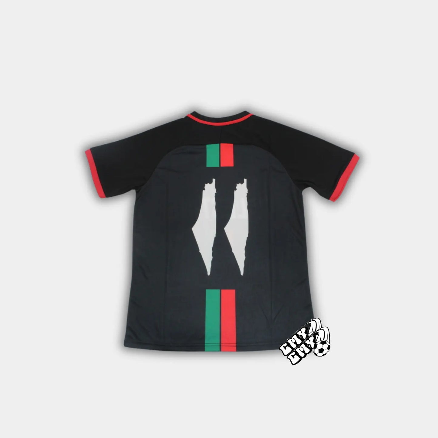 FC PALENSTINE - BLACK CMY