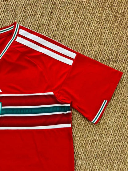 WALES HOME 2026 CMY