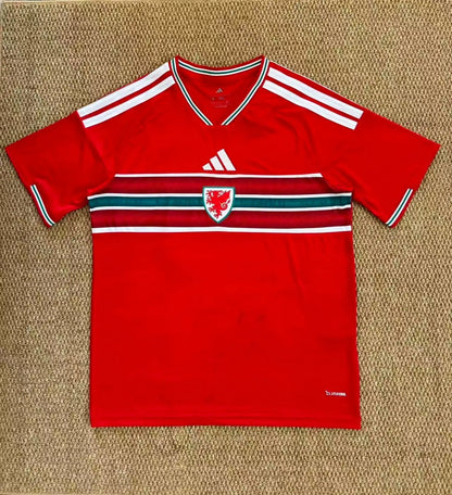 WALES HOME 2026 CMY