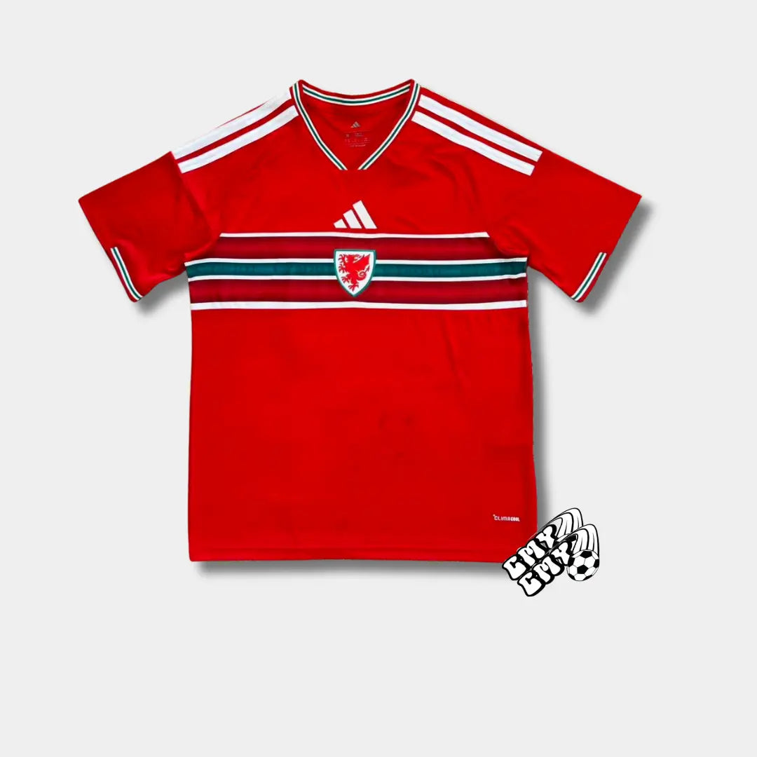 WALES HOME 2026 CMY